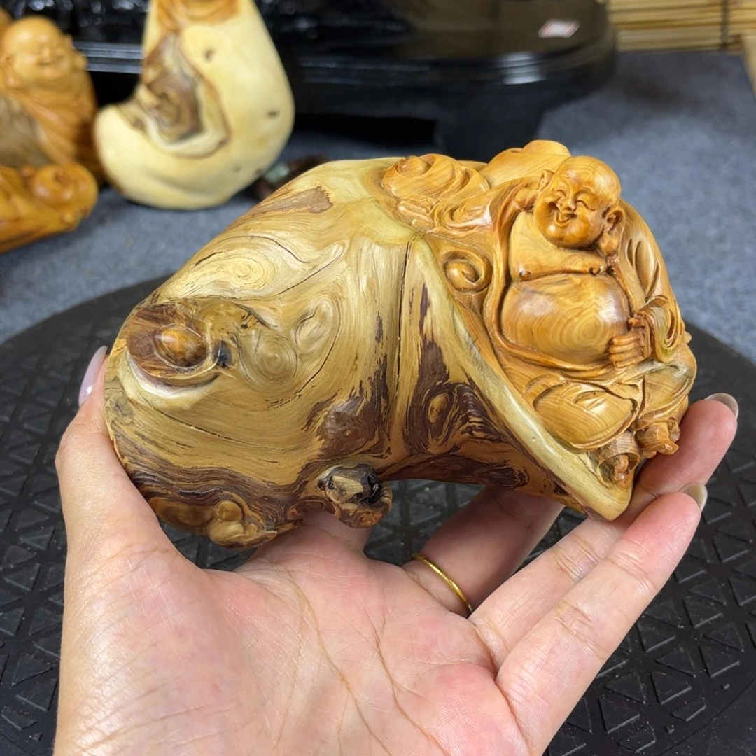 柏木崖柏崖柏崖柏
