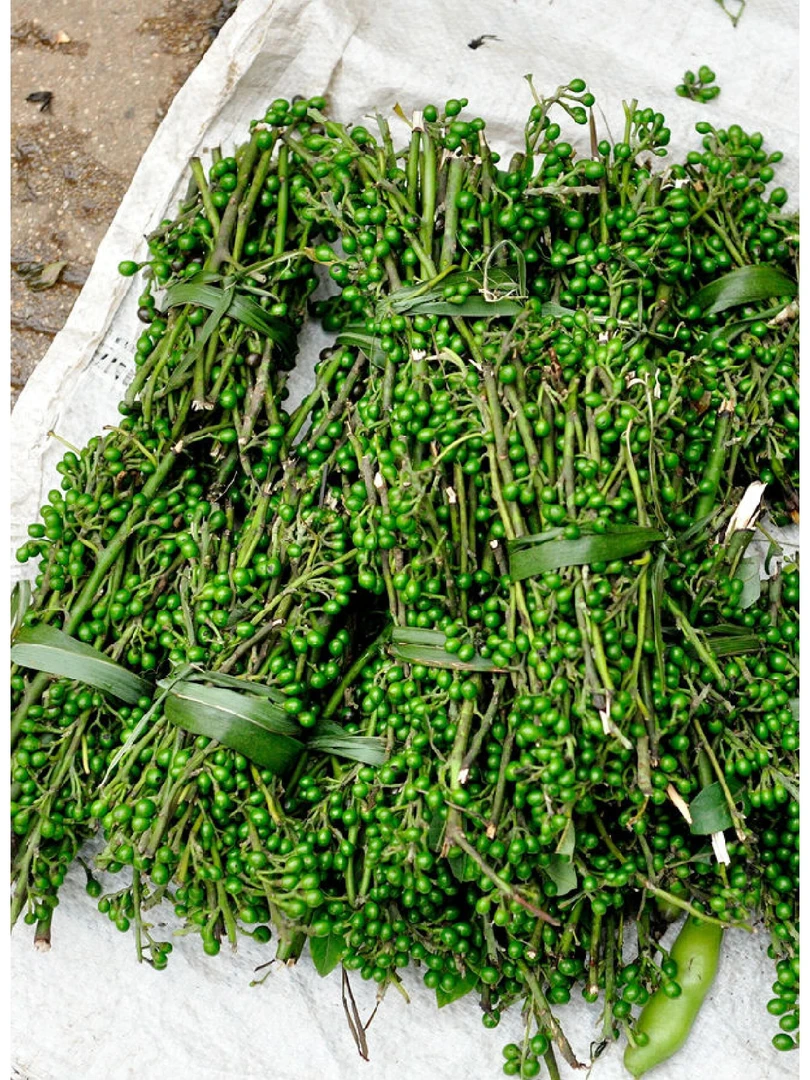 乡村农家山胡椒包邮到家