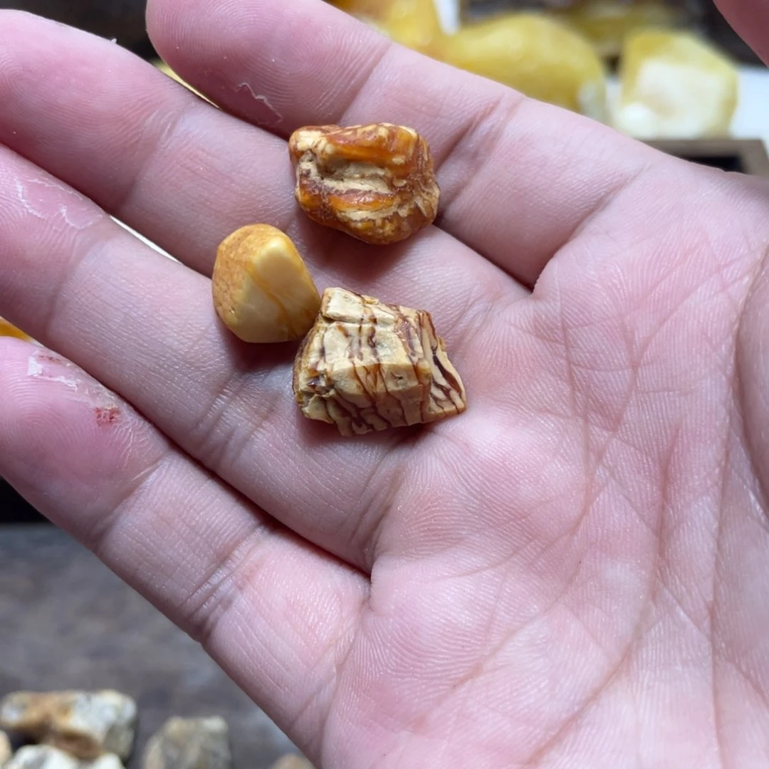 定制琥珀秋天然原矿