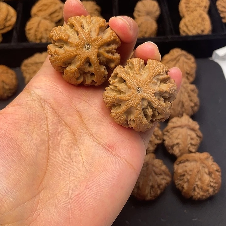 h***h吊坠文玩核桃突突突突突突突突
