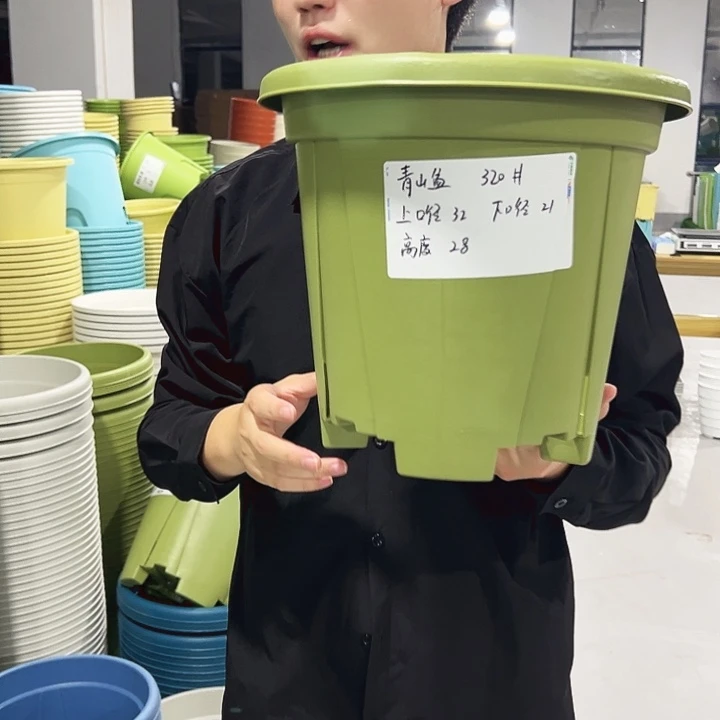青山口32高28果绿色5支无托