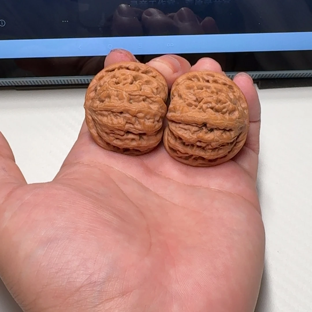 文玩核桃把件39九龙全品（正尖）