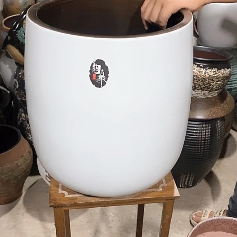 口33高度40白色888