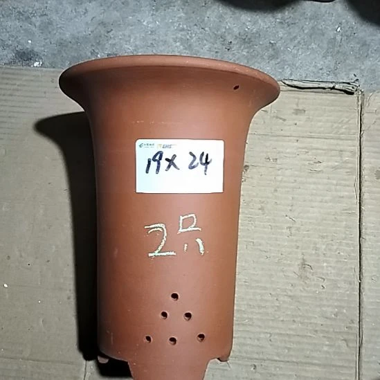 紫砂大红兰花两个