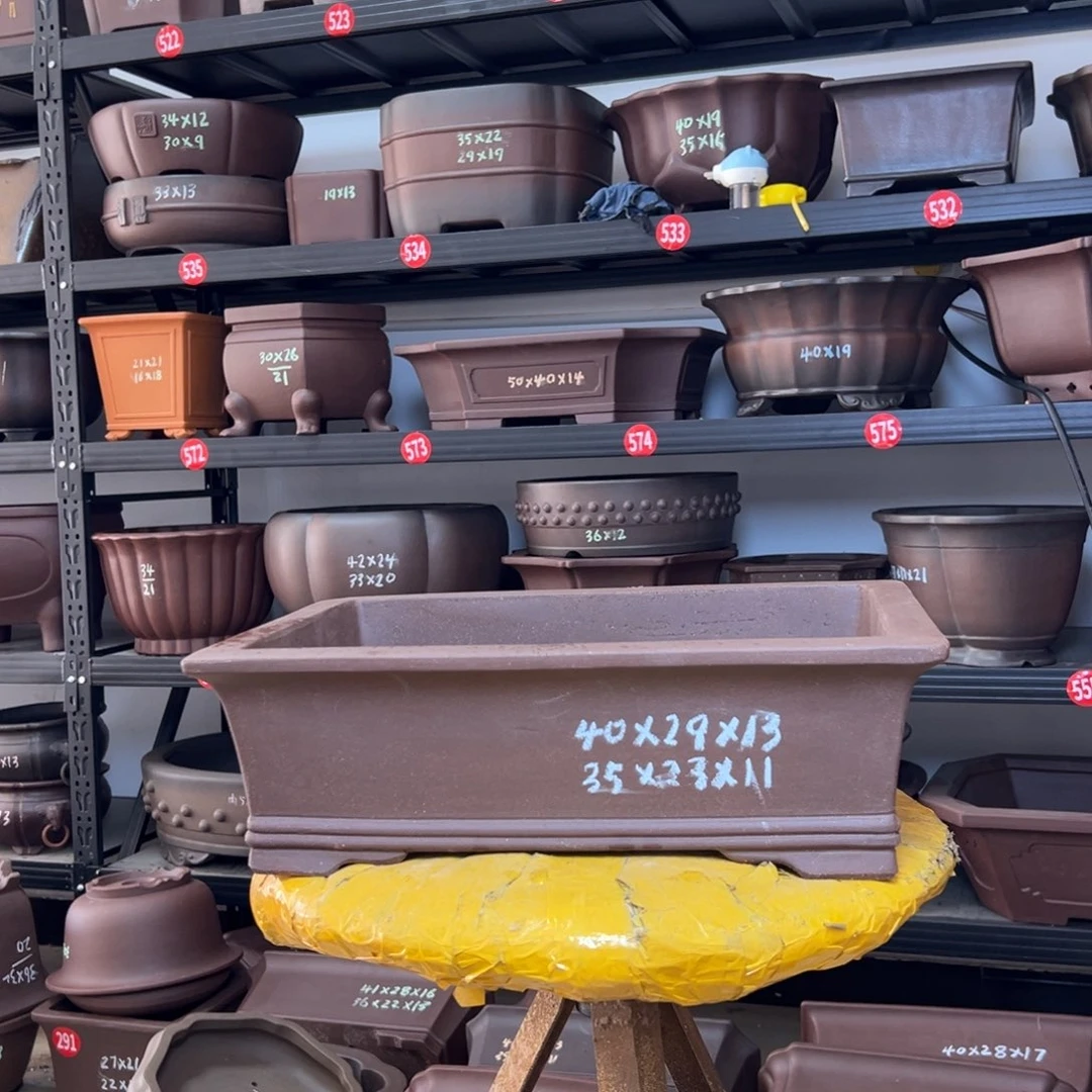 紫砂花盆呜呜呜呜呜好可爱