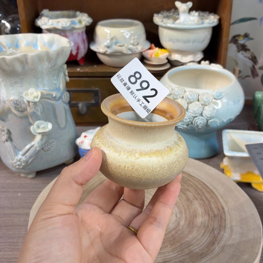 花盆花盆花盆花盆