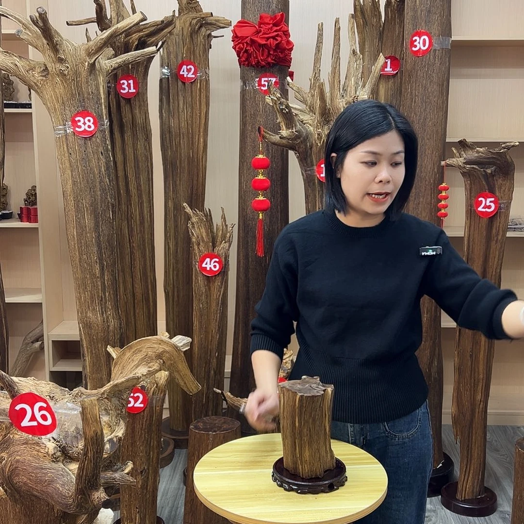 沉香沉香碎屑沉香