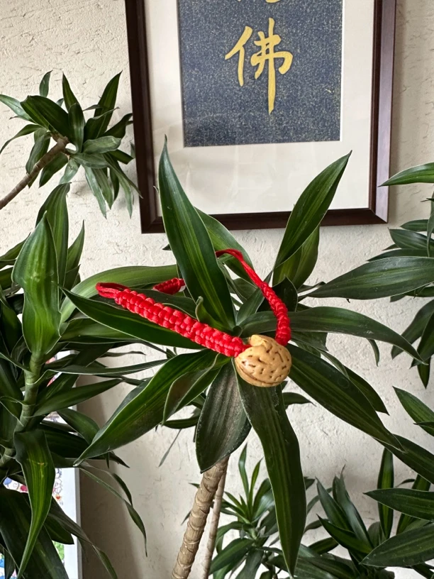 非金属布艺手链 红绳非常漂亮美观