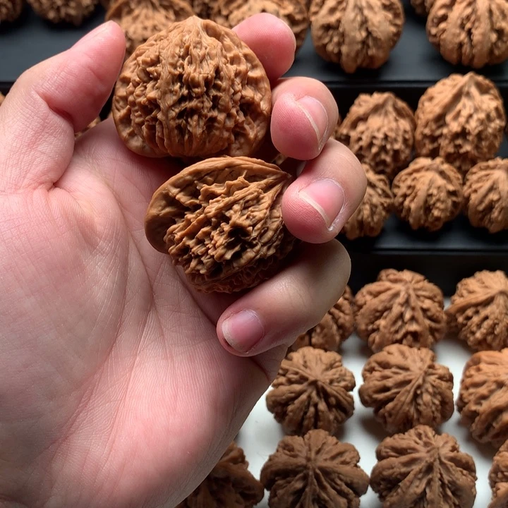 其他核桃不**心秦岭森林公园的建设