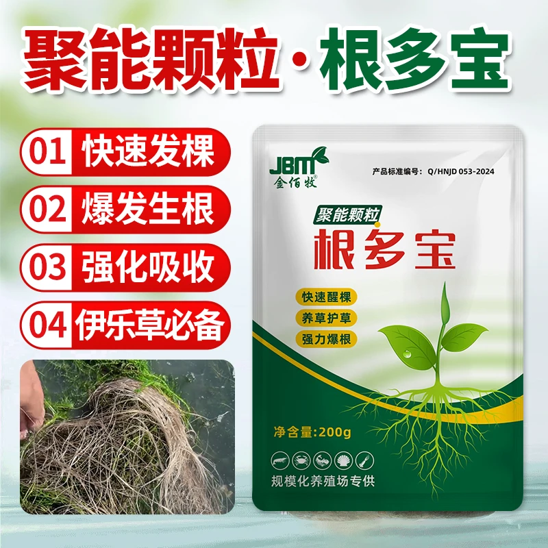 金佰牧聚能颗粒根多宝虾蟹塘水产生根粉促水草伊乐草快速扎根爆根