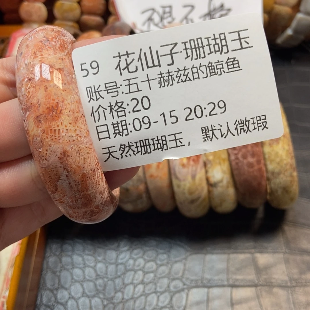 五***鱼未镶嵌硅化珊瑚（珊瑚玉）珠宝半成品59