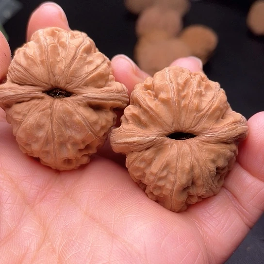 全***吧核桃核桃核桃核桃