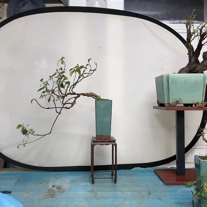 柠****无花朵地方干活好纠结