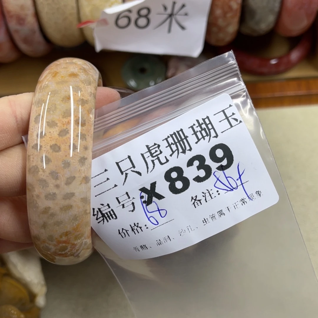 N***9硅化珊瑚（珊瑚玉）未镶嵌h