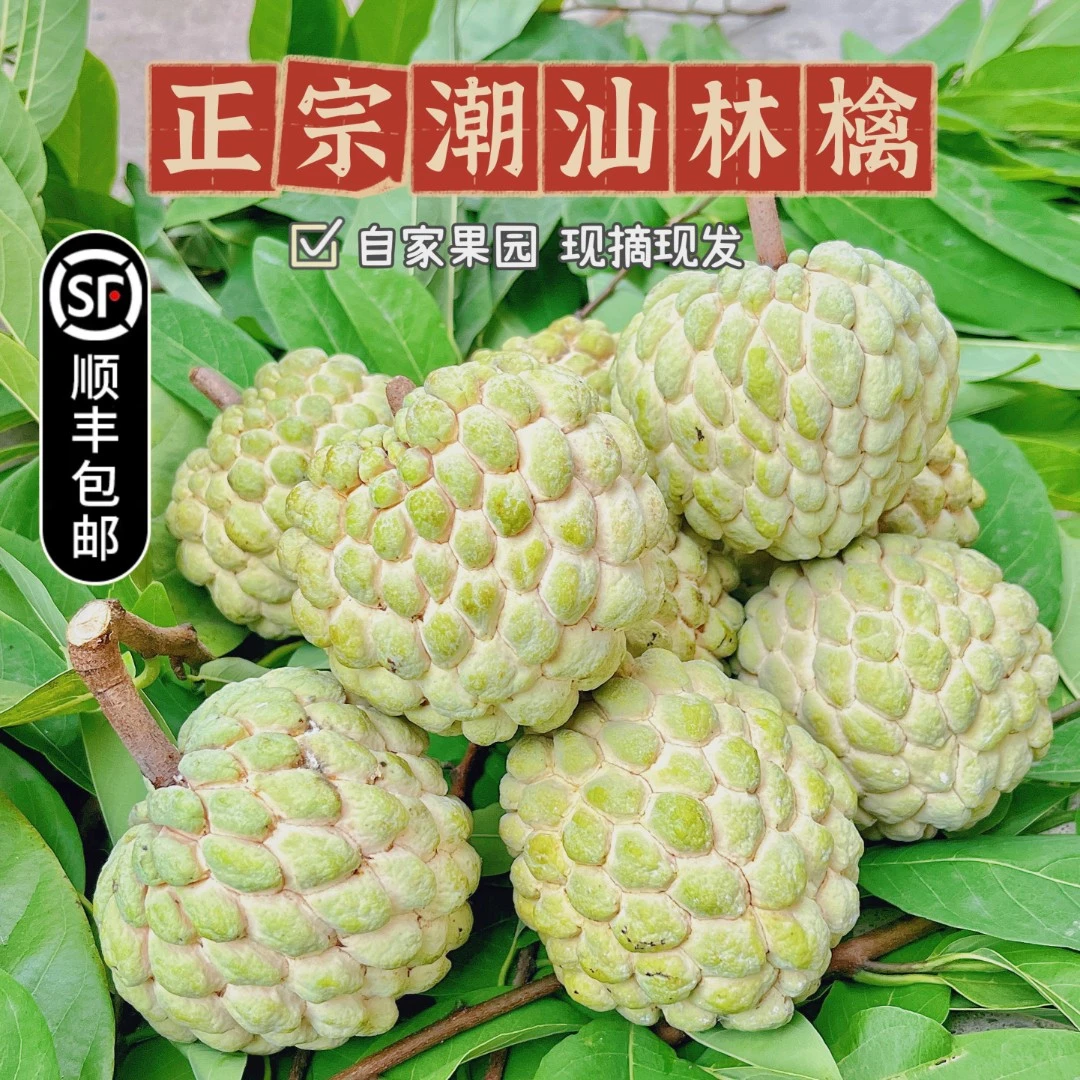 释迦果 正宗潮汕樟林林檎 番荔枝 果园现摘现发香甜精品成熟皮薄