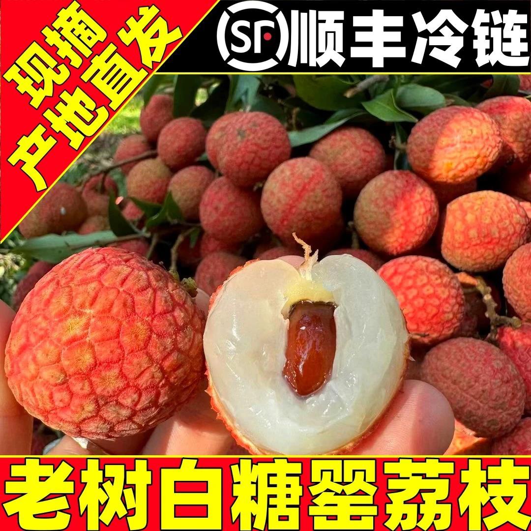 【顺丰EMS空运】现货白糖罂荔枝现摘现发清甜新鲜广西灵山