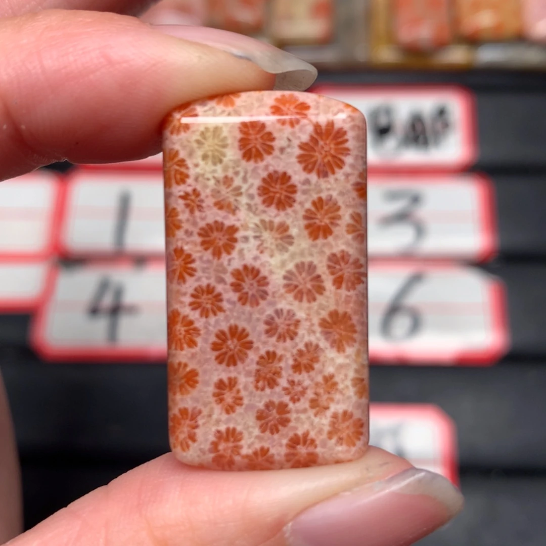 【闪购商品】未镶嵌颈饰硅化玉冒**鼎
