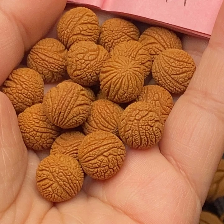 秦岭龙纹桃核21颗