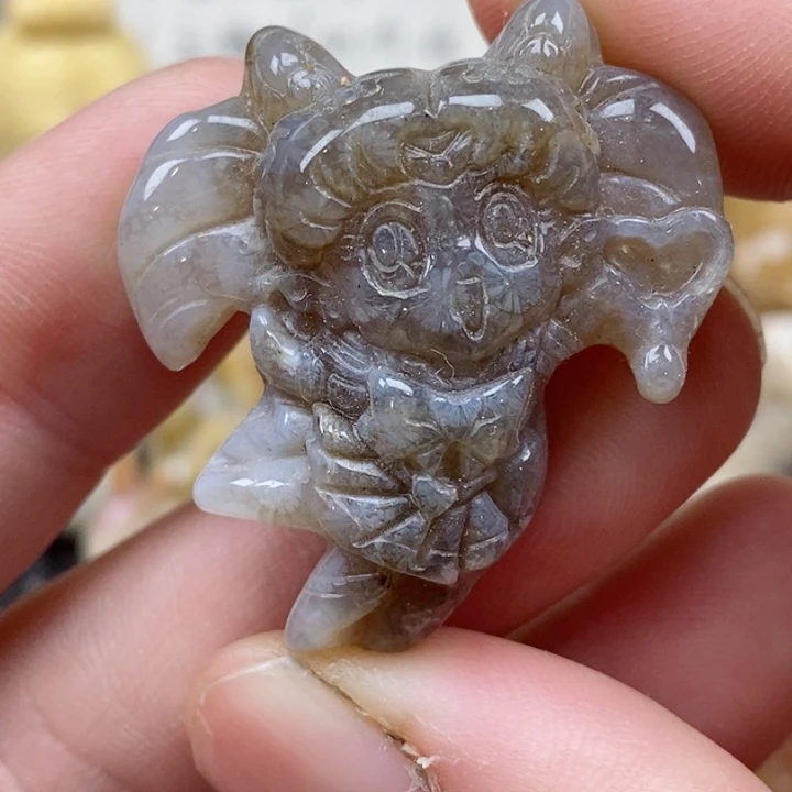 颈饰未镶嵌硅化珊瑚（珊瑚玉）