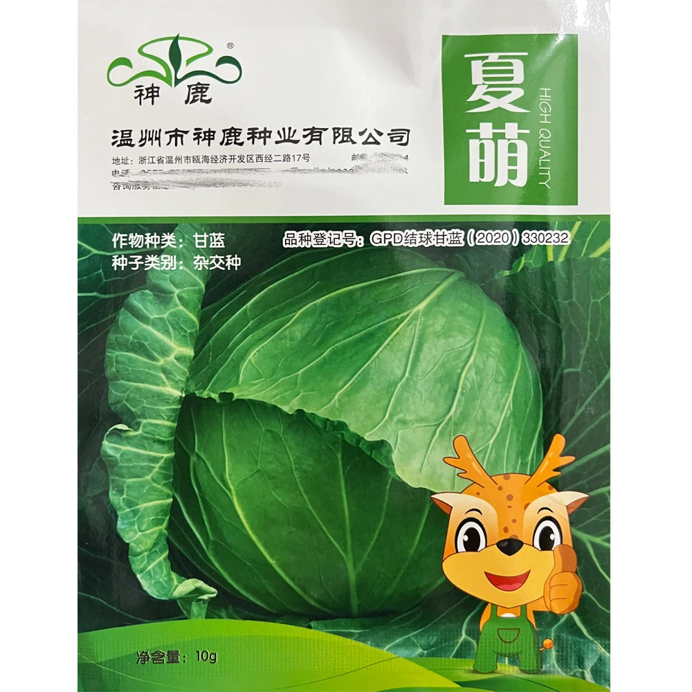 神鹿 夏萌甘蓝种子 包心菜种子 春夏秋季卷心菜扁圆形甘蓝种子