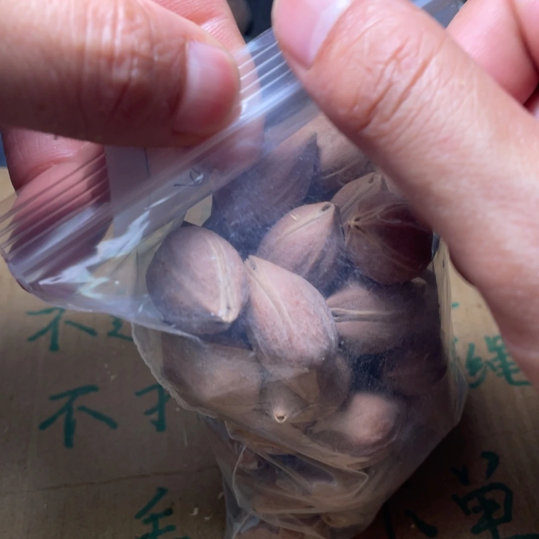 未**山不退不换ffffff