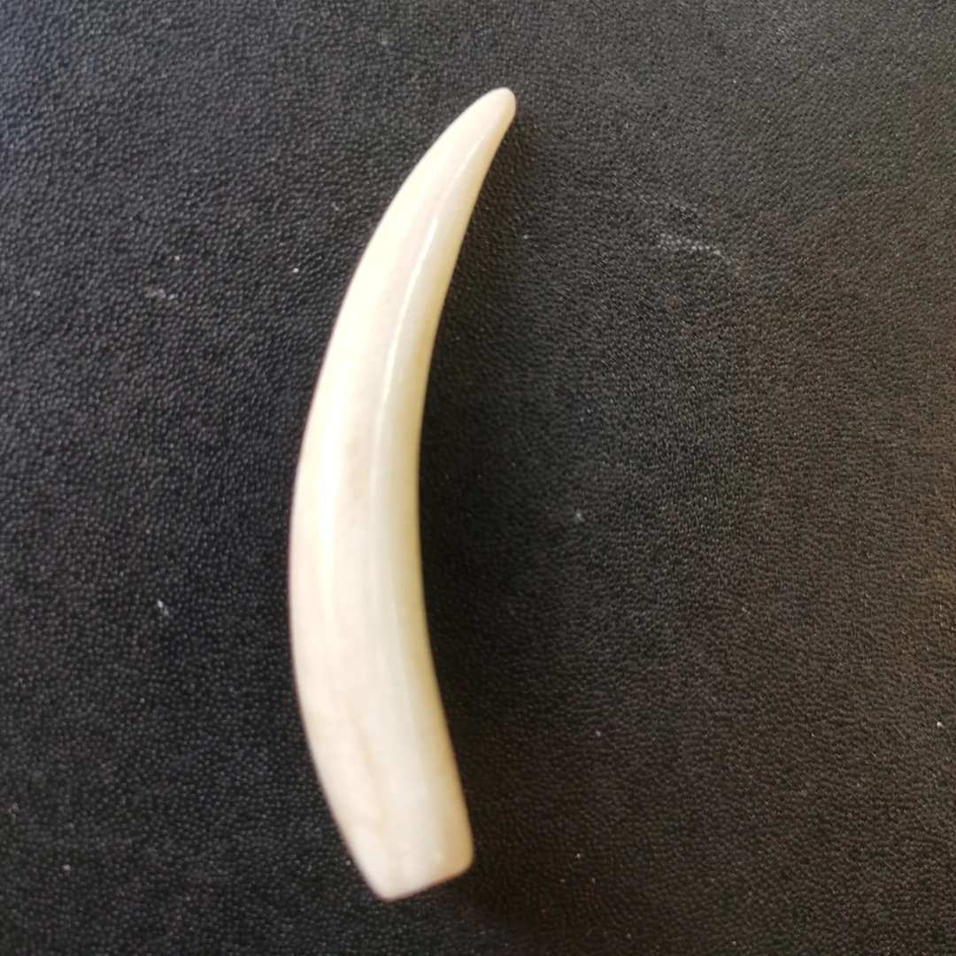 猛犸雕刻牙尖kk422