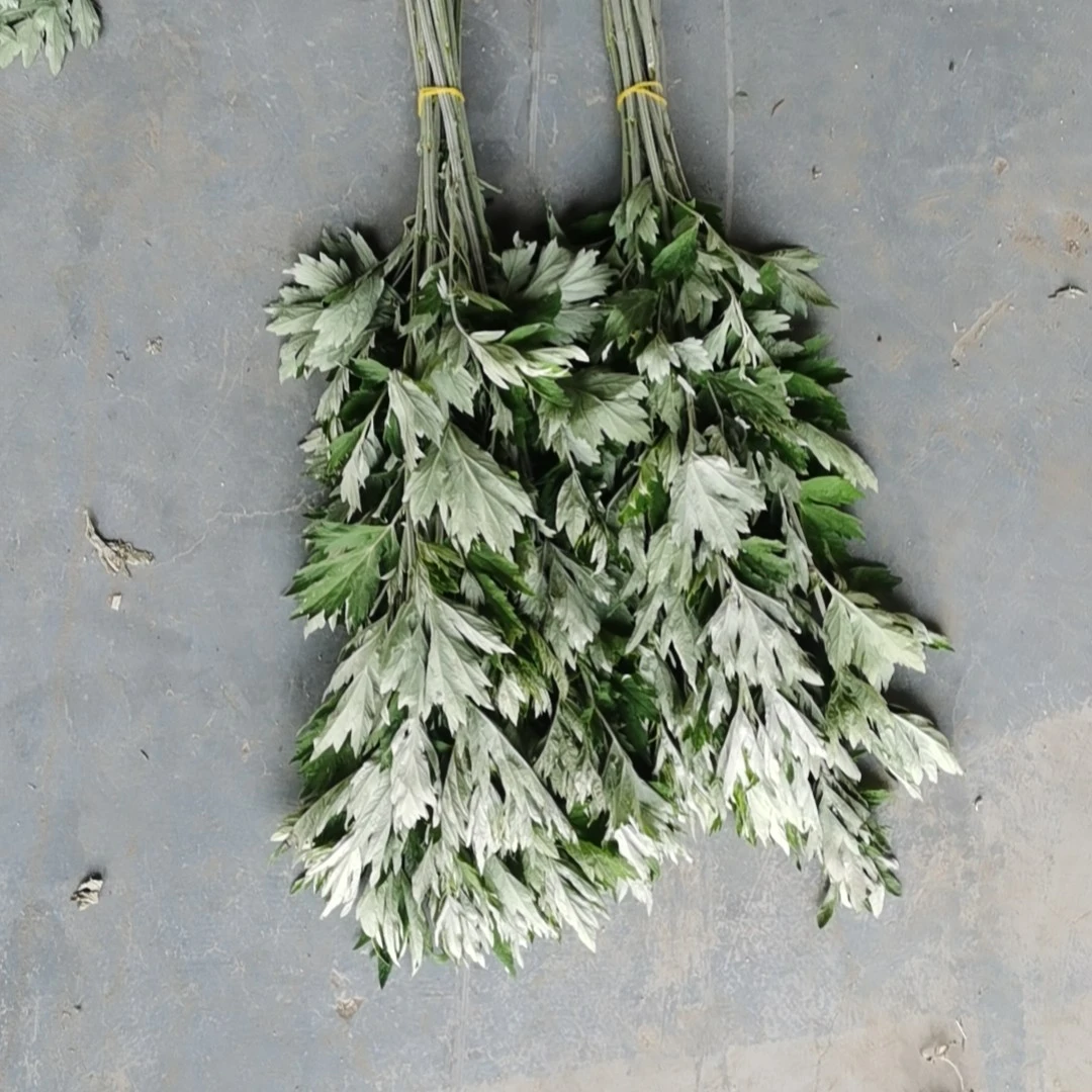 【端午节艾草20支】京东次日达