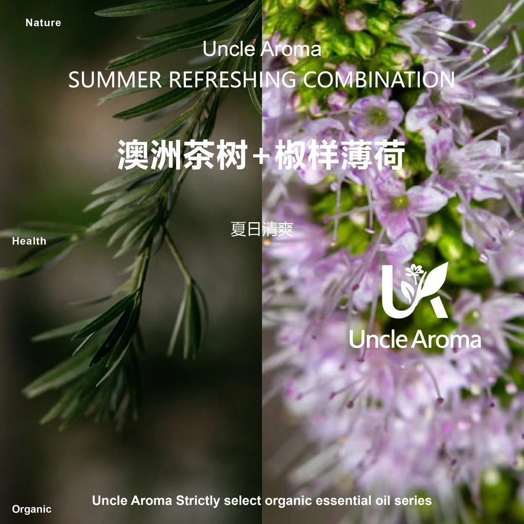 K菌 蚊虫组合（薄荷10ml+茶树10ml）香薰/扩香/芳疗