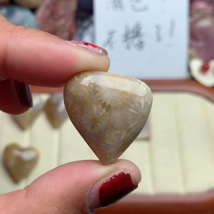 硅化珊瑚（珊瑚玉）颈饰未镶嵌