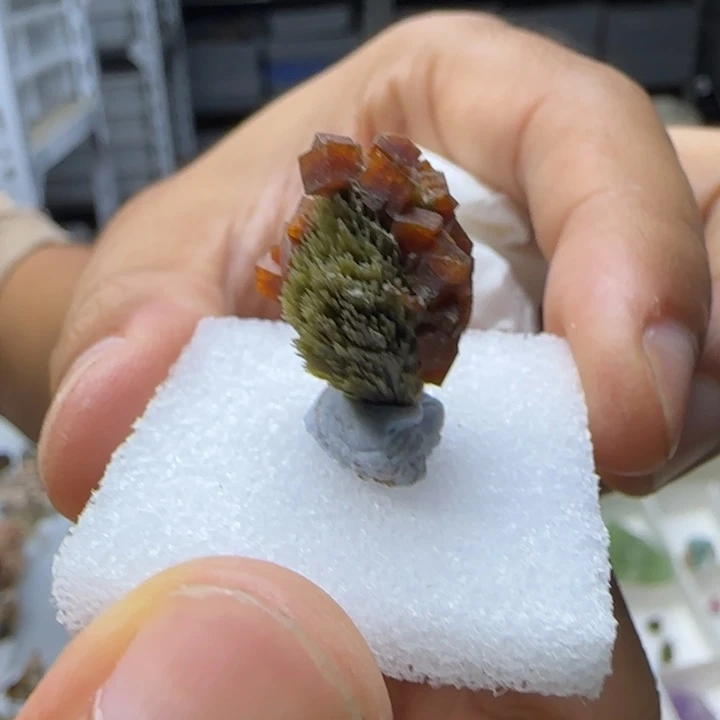 S***.昌化石印石原石料辉沸s