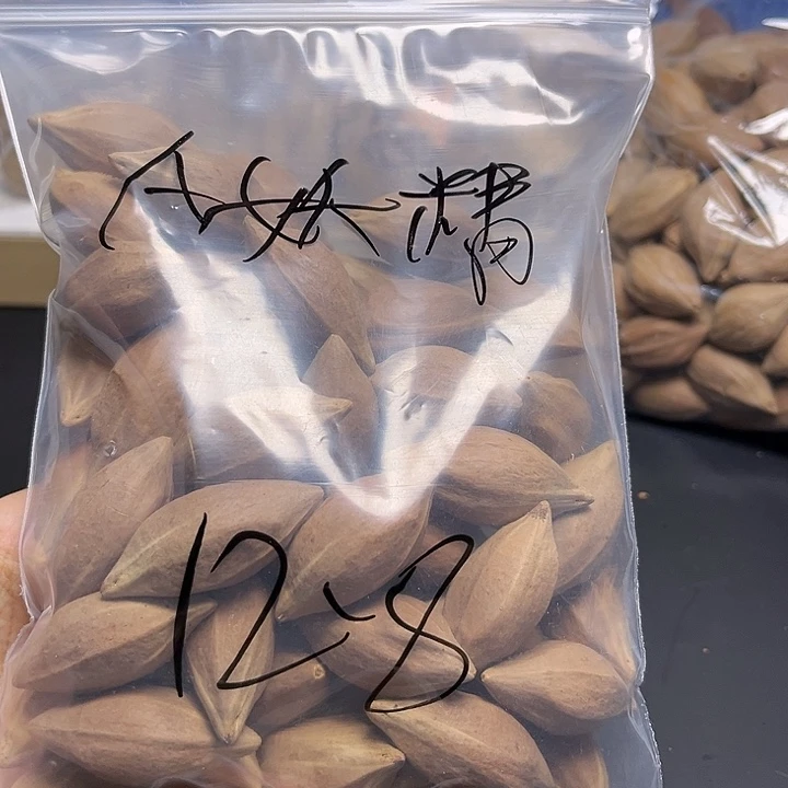 A***巴手串/手链橄榄核111