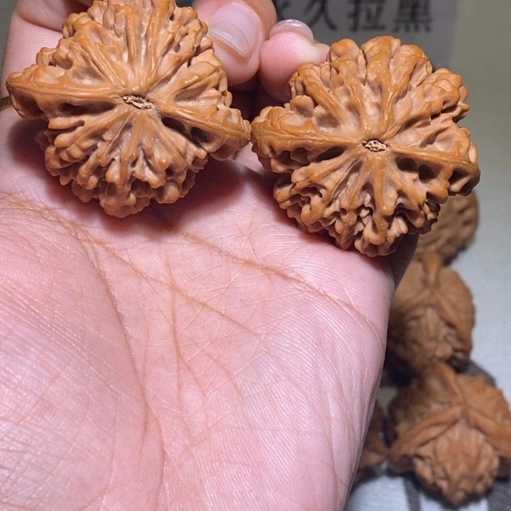 T***.手串/手链核桃亲们