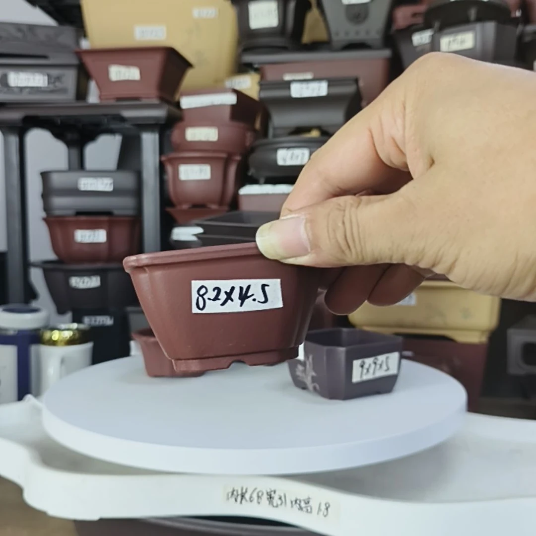 8X4方盆咖50只红50只