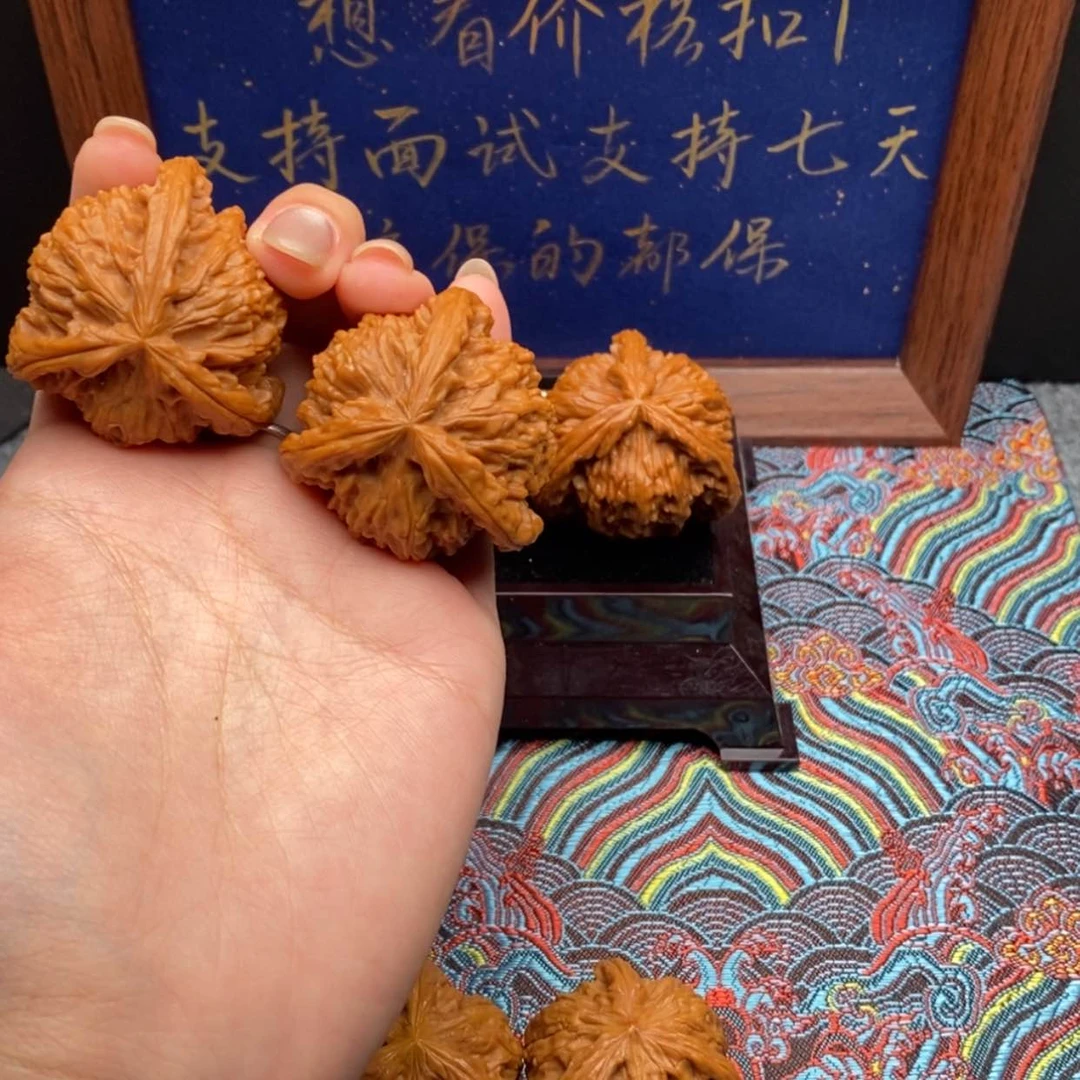 【闪购商品】真**香白狮
