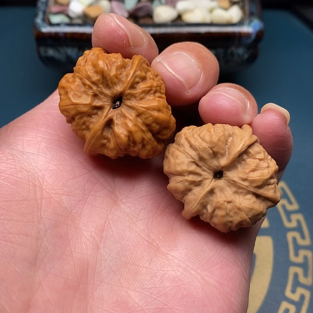 文玩核桃蛤膜头30全品