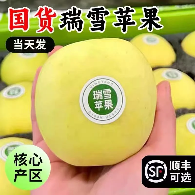 【顺丰速包邮】陕西白水瑞雪苹果3/9斤 新鲜采摘应季玫瑰香青苹果