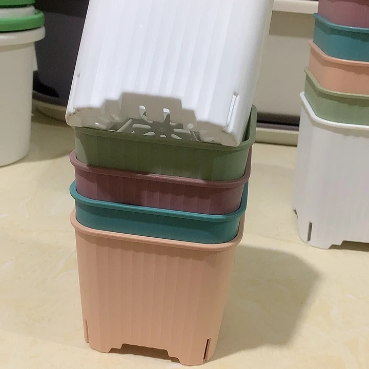 方口10混色10个无托