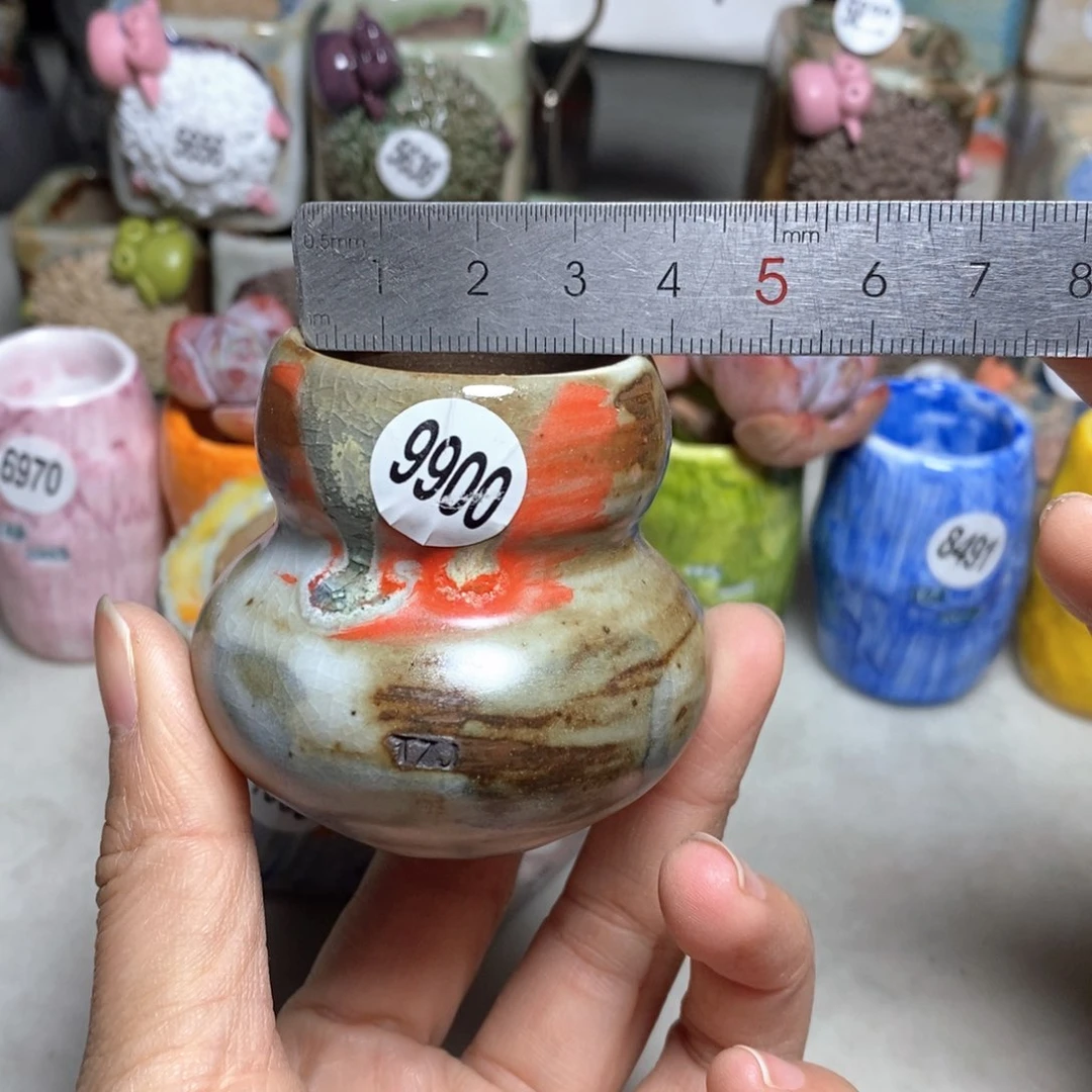 拍5送一个小礼物