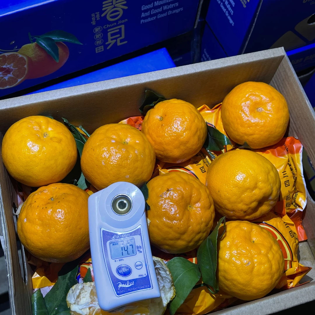 【恒泽优选】四川耙耙柑2斤装