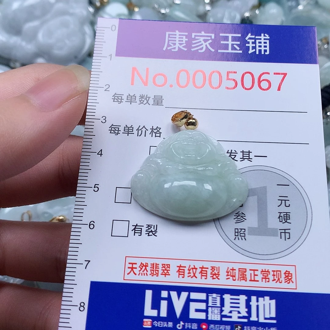 颈饰未镶嵌翡翠y