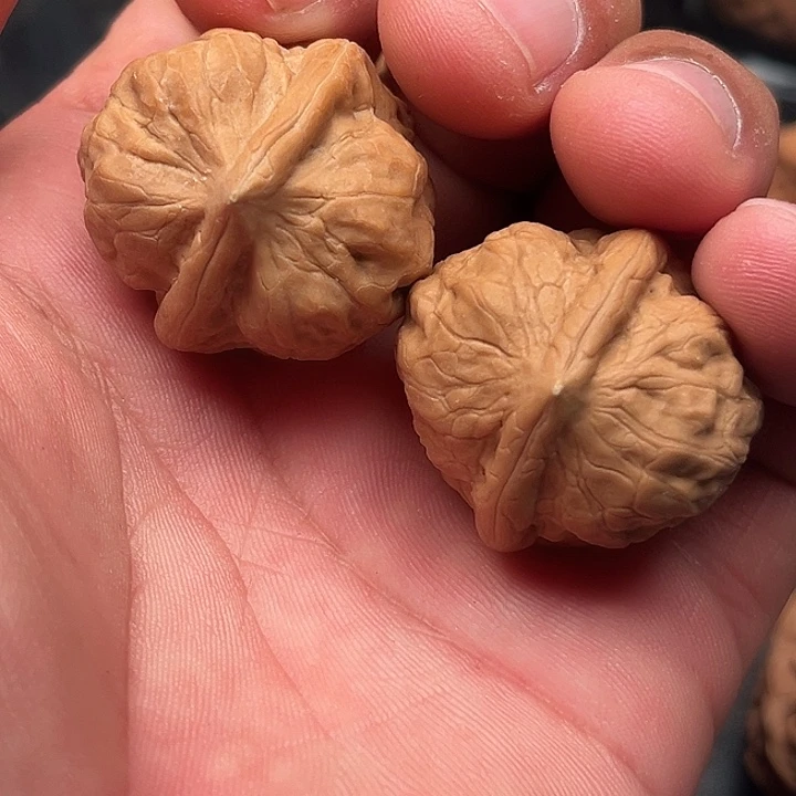 文玩核桃把件古蝉