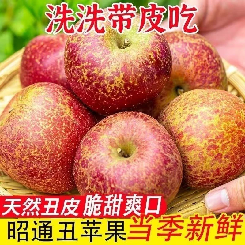 a3顺丰次日达云南昭通丑苹果脆甜多汁树熟新鲜采摘今天拍明天到云南省