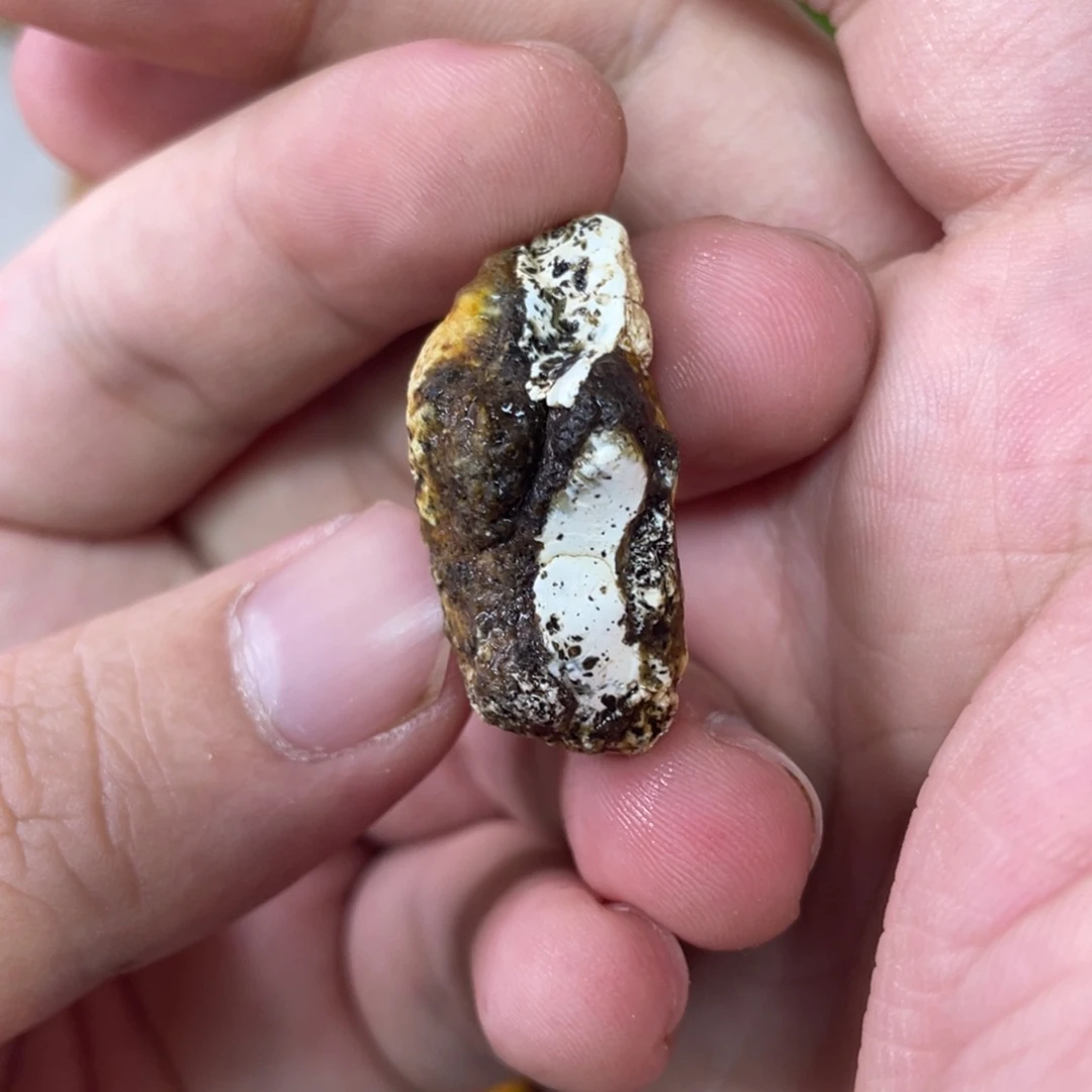 定制琥珀天然琥珀8老型一对