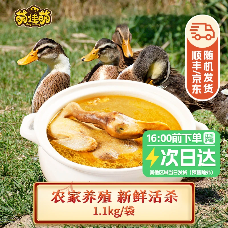 【送货上门】麻鸭1.1kg整鸭农家土鸭子水鸭煲汤营养整鸭生鲜