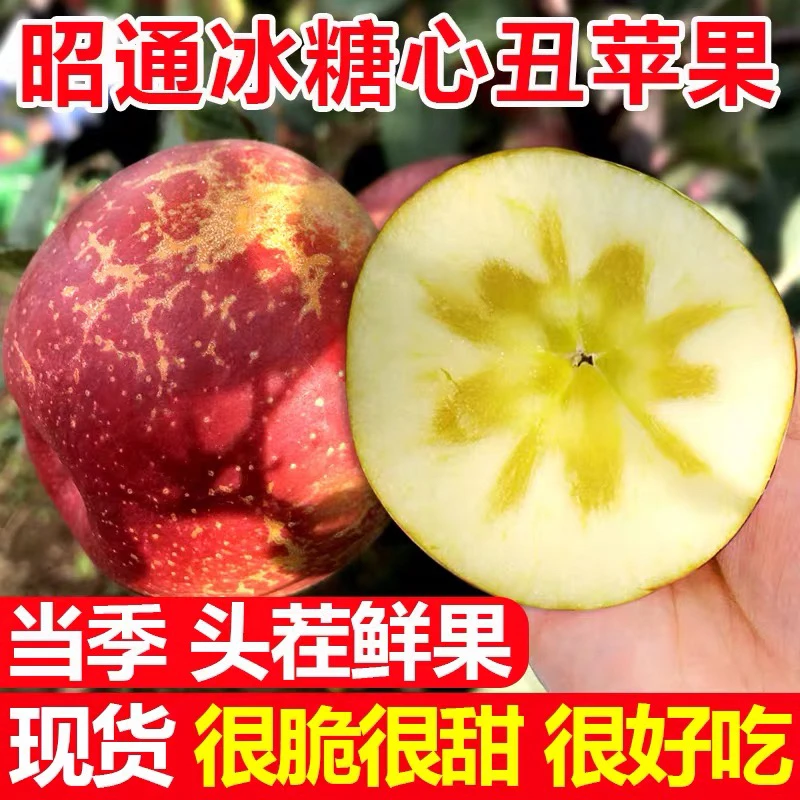 正宗云南昭通新鲜冰糖心丑苹果原产地脆甜好吃苹果水果