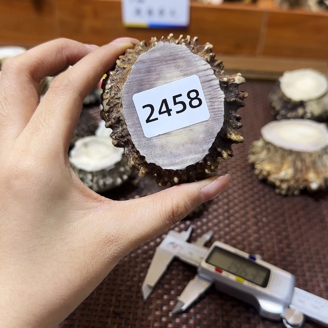 手串/手链鹿骨角帽2458