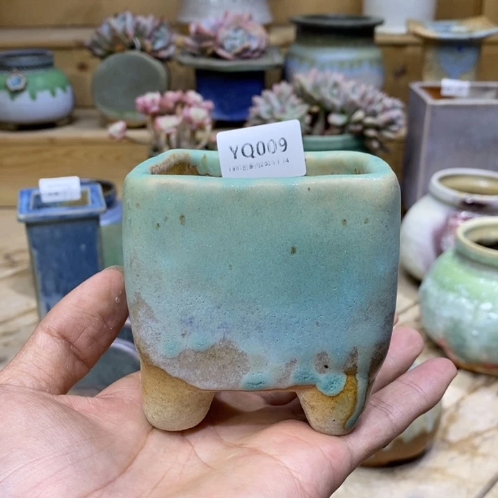 粗砂花盆芊**星YQ009抽奖盆盆盆盆盆盆