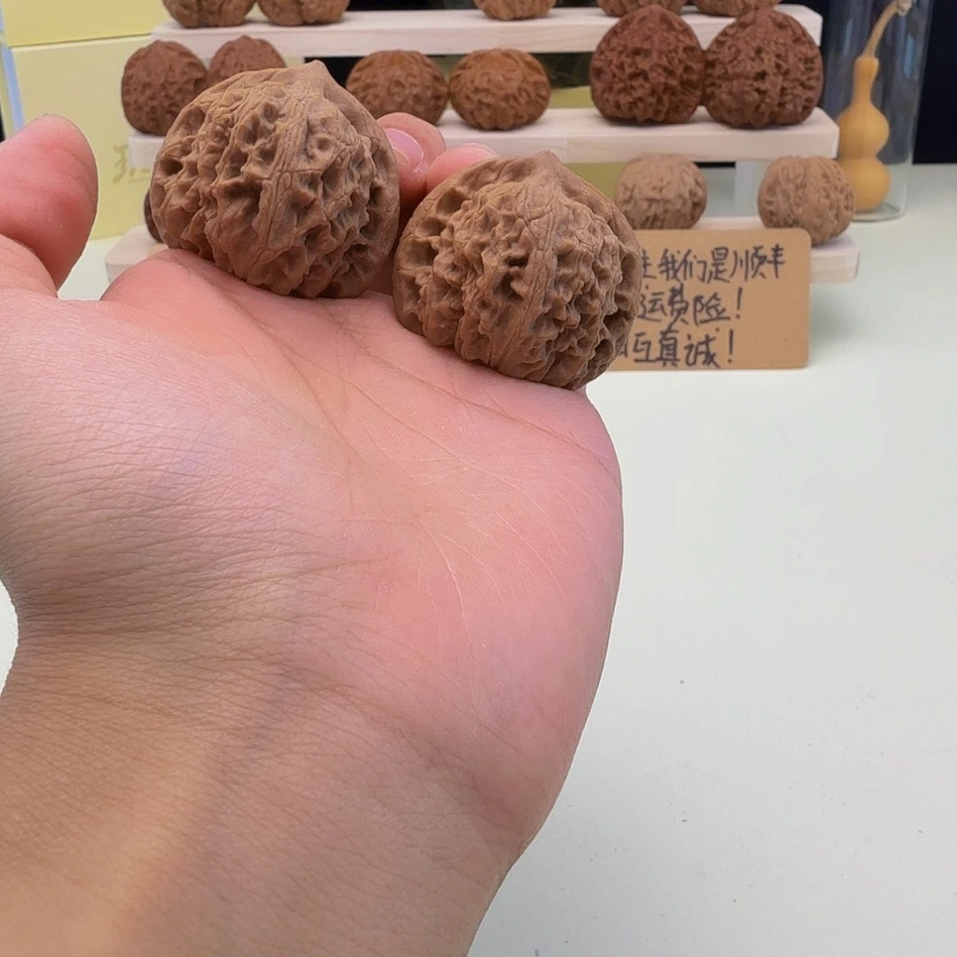 全品野生39/38/37