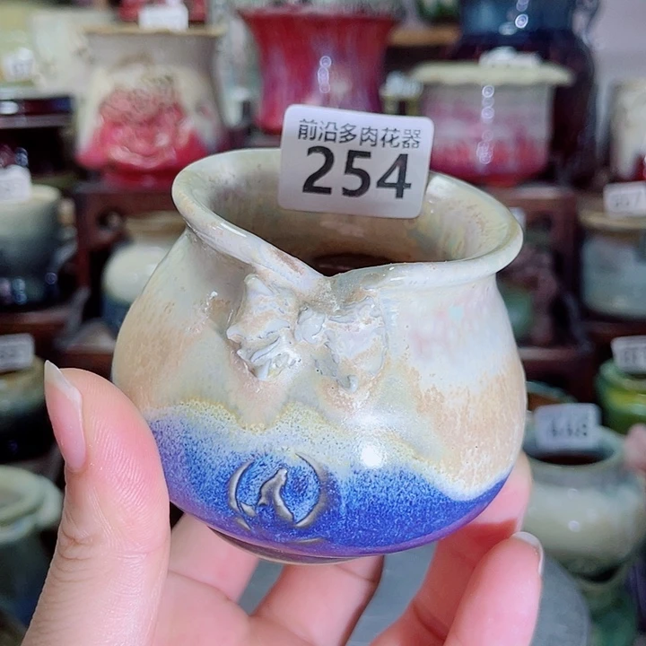 狼盆内口径5高度6