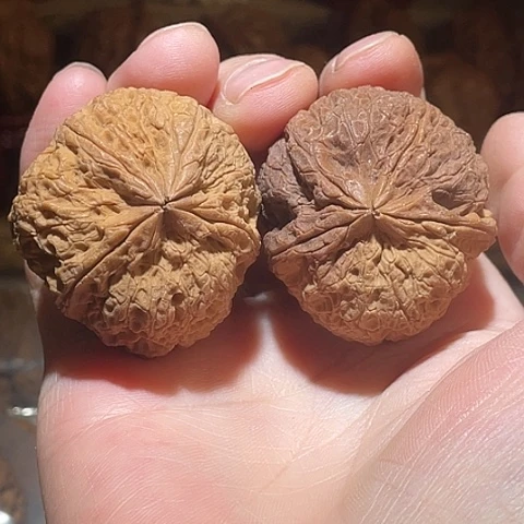 文玩核桃把件大老粗彩阴40